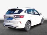 Ford Kuga 2.0 EcoBlue Aut. ST-LINE - Ford Kuga mit Diesel-Antrieb: Geländewagen