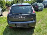 Fiat Punto Pop -54000 KM----01704684029-- - Fiat Punto: Km0