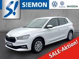 Skoda Fabia 1.0 TSI SELECTION Klimaauto LED Apple CarP - Skoda Fabia Neuwagen