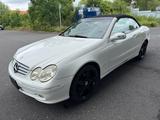 Mercedes-Benz CLK 320 ELEGANCE - weiße Mercedes-Benz CLK-Klasse