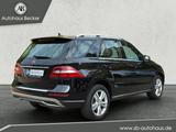 Mercedes-Benz ML 250 CDI BlueTec+Pano+Standh.+Kamera+Navi+ - Mercedes-Benz ML 250 in Bremen