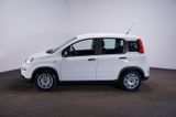 Fiat Panda 1.0 MY24 GSE Hybrid*Klima*4-Sitzer* - Fiat Panda: Sitzer