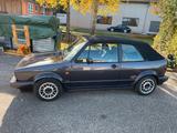 Volkswagen VW Golf 1 Cabrio Fashion Line - Volkswagen Golf: Fashion