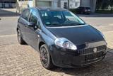 Fiat Punto 1.4 8V Start Start - Fiat Punto Gebrauchtwagen in Mannheim