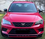 Cupra Ateca 2.0 TSI 221kW 4Drive DSG - - Cupra Ateca mit Benzin-Antrieb: Rot, Sitzheizung