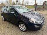 Fiat Punto More  - Fiat Punto MORE mit Benzin-Antrieb