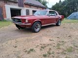 Ford Mustang 1967, 302er, 5,0 l, Coupé - Ford Mustang: 302