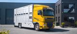 DAF XF 410 SC Menke Doppelstock - Angebote