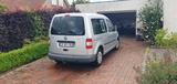 Volkswagen Caddy Life 2.0 TDI 5-Sitzer Standard - Volkswagen Caddy: Standard