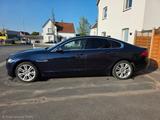 Jaguar XF 25t AWD 250PS Portfolio Automatik Portfolio - Jaguar XF X250