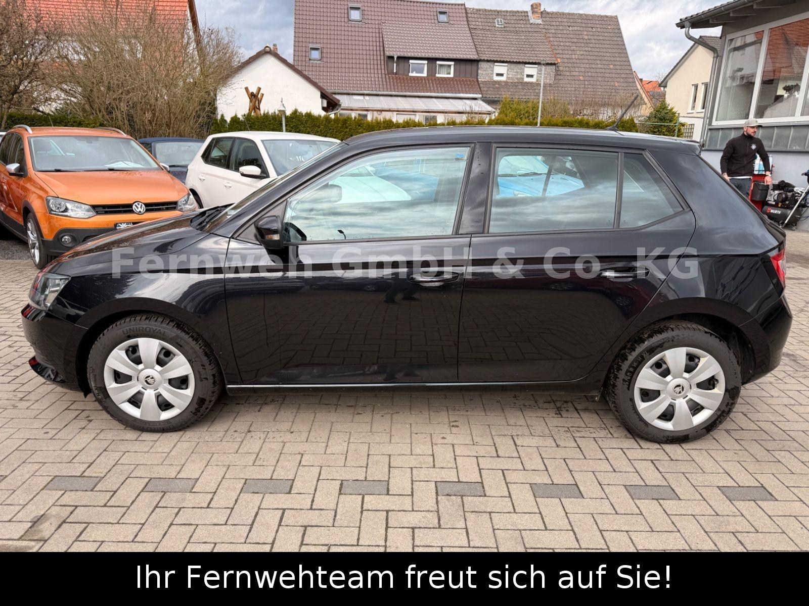 Skoda Fabia Cool Edition // KLIMA // 5-TRG // TÜV NEU