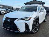 Lexus UX250h AWD 4x4 F-Sport executive*Schiebedach*HUD - Lexus: Sc