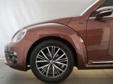 Volkswagen Beetle Käfer! Allstar Dark Bronze! Panoramadach! - Volkswagen Beetle: Kleinwagen