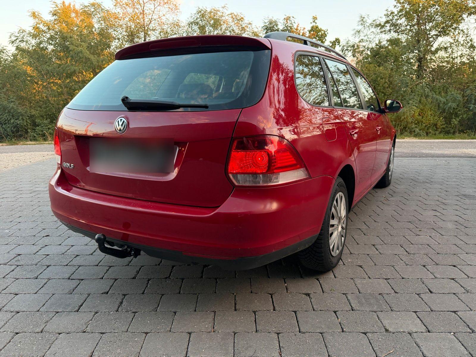 Volkswagen Golf 2010 — rear view