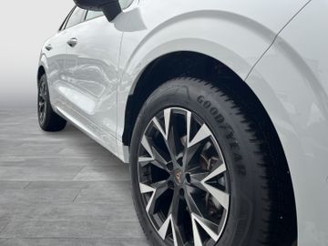 Cupra Terramar - 6