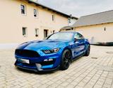 Ford Shelby GT350 - Ford Mustang: Gt350