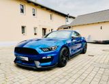 Ford Shelby GT350 - Ford Mustang: Gt350 Shelby