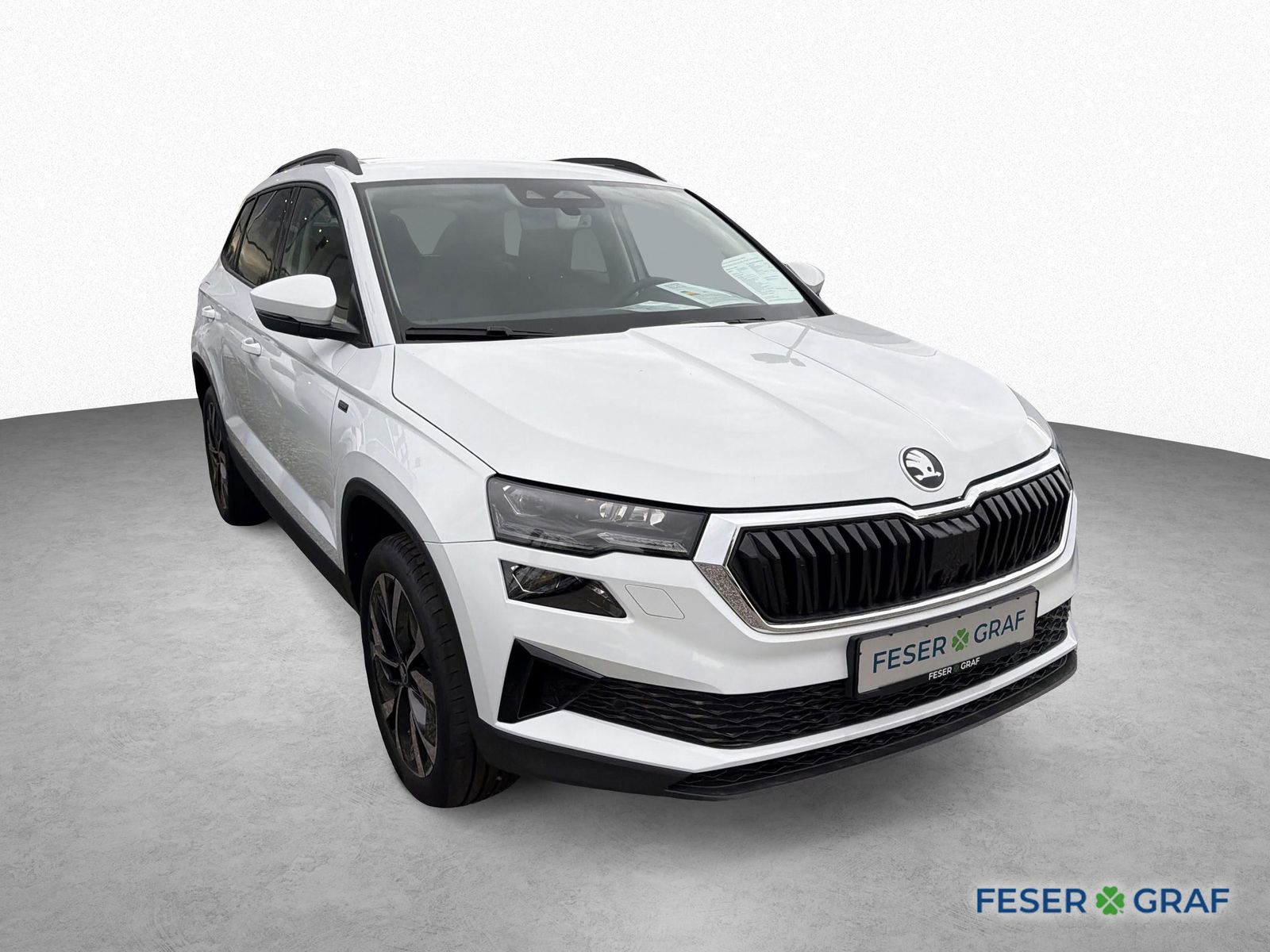 Skoda Karoq - Bild 3