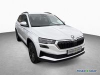 Skoda Karoq - Vorschau Bild 3