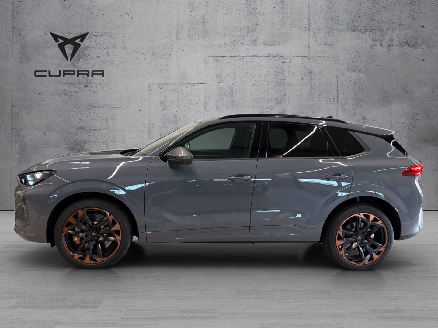 Cupra Terramar - Bild 4