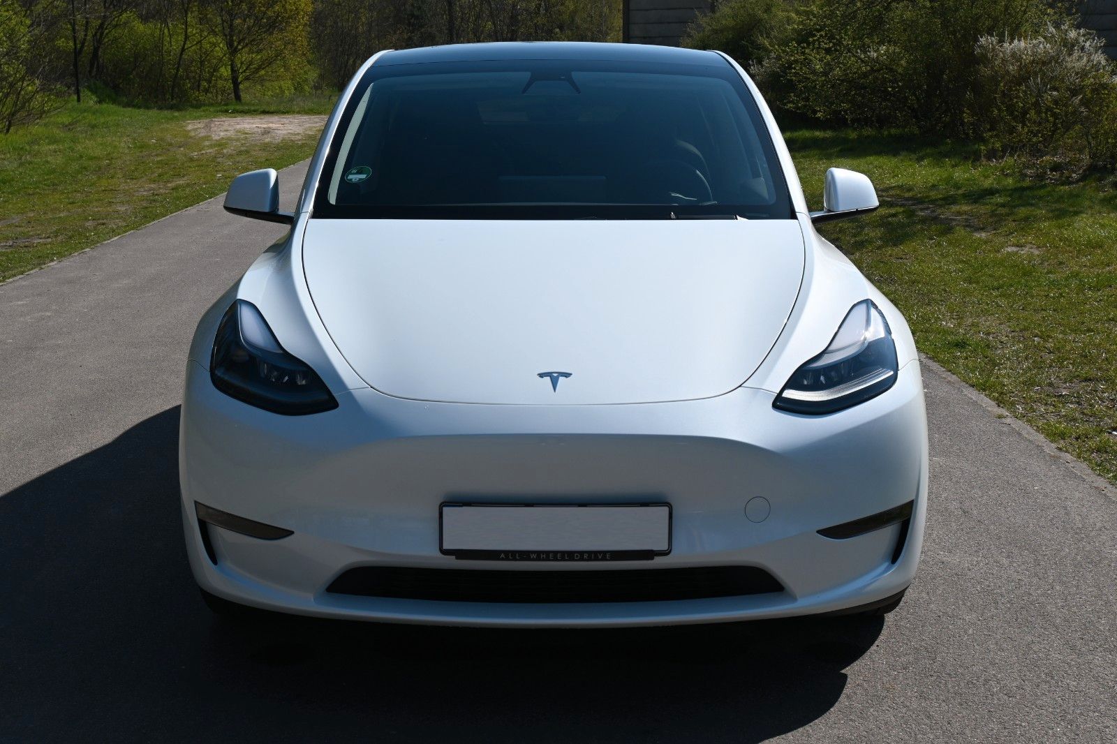 Fahrzeugabbildung Tesla Model Y Performance Dual Motor AWD