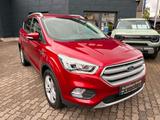 Ford Kuga 1,5 EcoBoost 4x2 110kW Cool&Con.Winterräder - Ford Kuga: 2.5