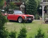 Triumph TR6 - gebrauchte Triumph Cabrios