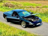 Ford Probe 2 16V 18 Zoll Felgen, Sportsitze - Ford Probe: 16v