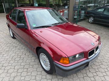 BMW 316 - 1