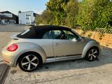 Volkswagen New Beetle - Volkswagen New Beetle: Beige