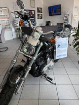 Harley-Davidson Sportster 1200 Custom (XL 1200C) - Angebote