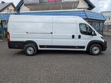 Fiat Ducato 35 L4H2 180 Multijet Maxi Voll-LED - Fiat Ducato: 18