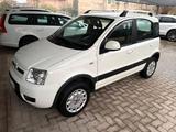 Fiat Panda 4x4 Panda 1.2 Climbing 4x4 69cv E5 OK - Fiat Panda Cabrio Gebrauchtwagen