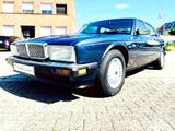 Jaguar XJ40 DAIMLER - Jaguar XJ40 mit Schiebedach