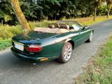 Jaguar XK8 Cabriolet - - Jaguar XK8: Cabrio