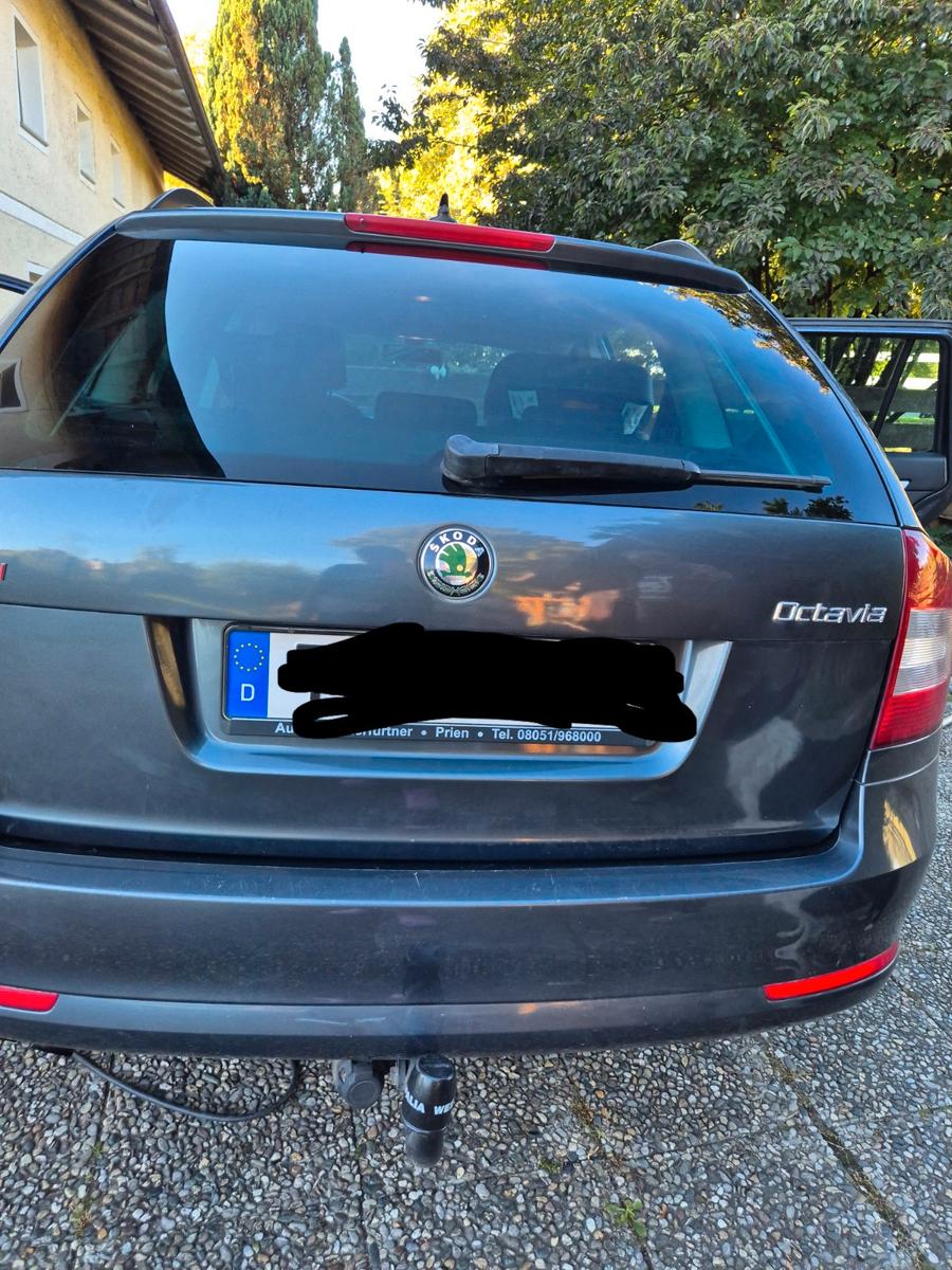 Skoda Octavia 2011 — photo 6