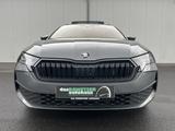 Skoda Octavia Combi 2.0 TDI DSG Blackline 106€ m.20% A - Diesel Gebrauchtwagen