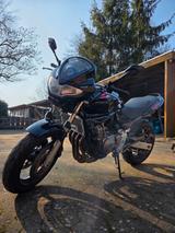 Honda Hornet CB 600 F - HONDA 2003 HORNET 600
