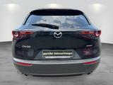 Mazda CX-30"Selection" "DES-P" M-Hybrid - Mazda Gebrauchtwagen in Berlin