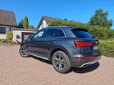 Audi Q5 Design 2.0 TFSI (STronic, Leder, 8x bereift)  - Audi Q5 design mit Benzin-Antrieb