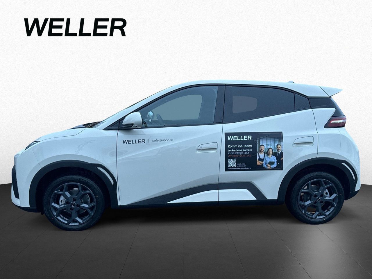 BYD DOLPHIN SURF