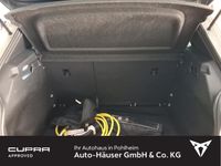 Cupra Born - Vorschau Bild 5