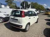 Fiat Panda MY25 1.0 70PS Eurostar Klima PDC - Fiat Panda in Leipzig