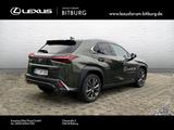 Lexus UX 300h F-Sport Design - Lexus: 300h
