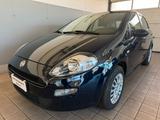 Fiat Punto 1.2 8V 5 porte Street - Fiat Punto: Street