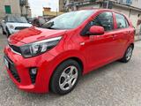 Kia Picanto 1.0 GPL Cool 1 PROPRIETARIO - Kia Picanto: Cool
