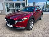 Mazda CX-30 Selection HEAD-UP-DISPLAY - Mazda CX-3 aus 2020