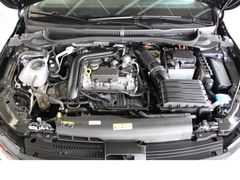 Fahrzeugabbildung Volkswagen Polo Life,Top-Ausstattung, Top-Zustand