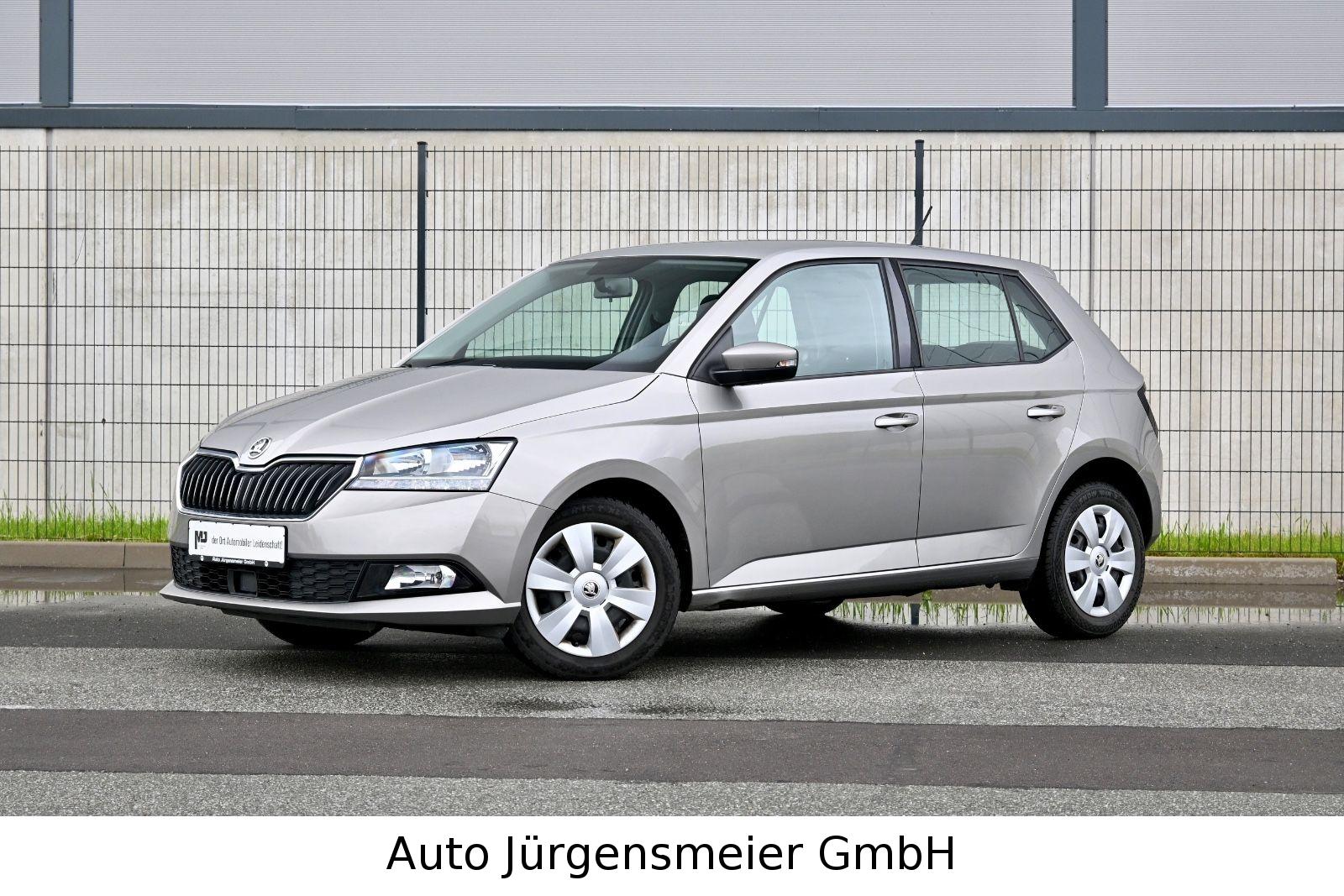 Skoda Fabia 1.0 TSI Ambition/PDC/Shz/8-Fach/Car-Play