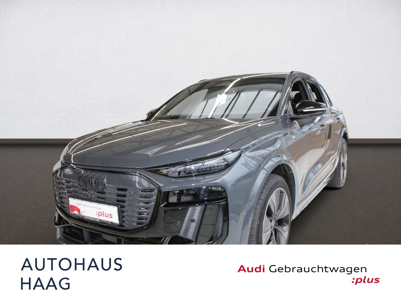 Audi Q6 e-tron qu 5JGAR MATRIX HUD Pano Virtual WPump